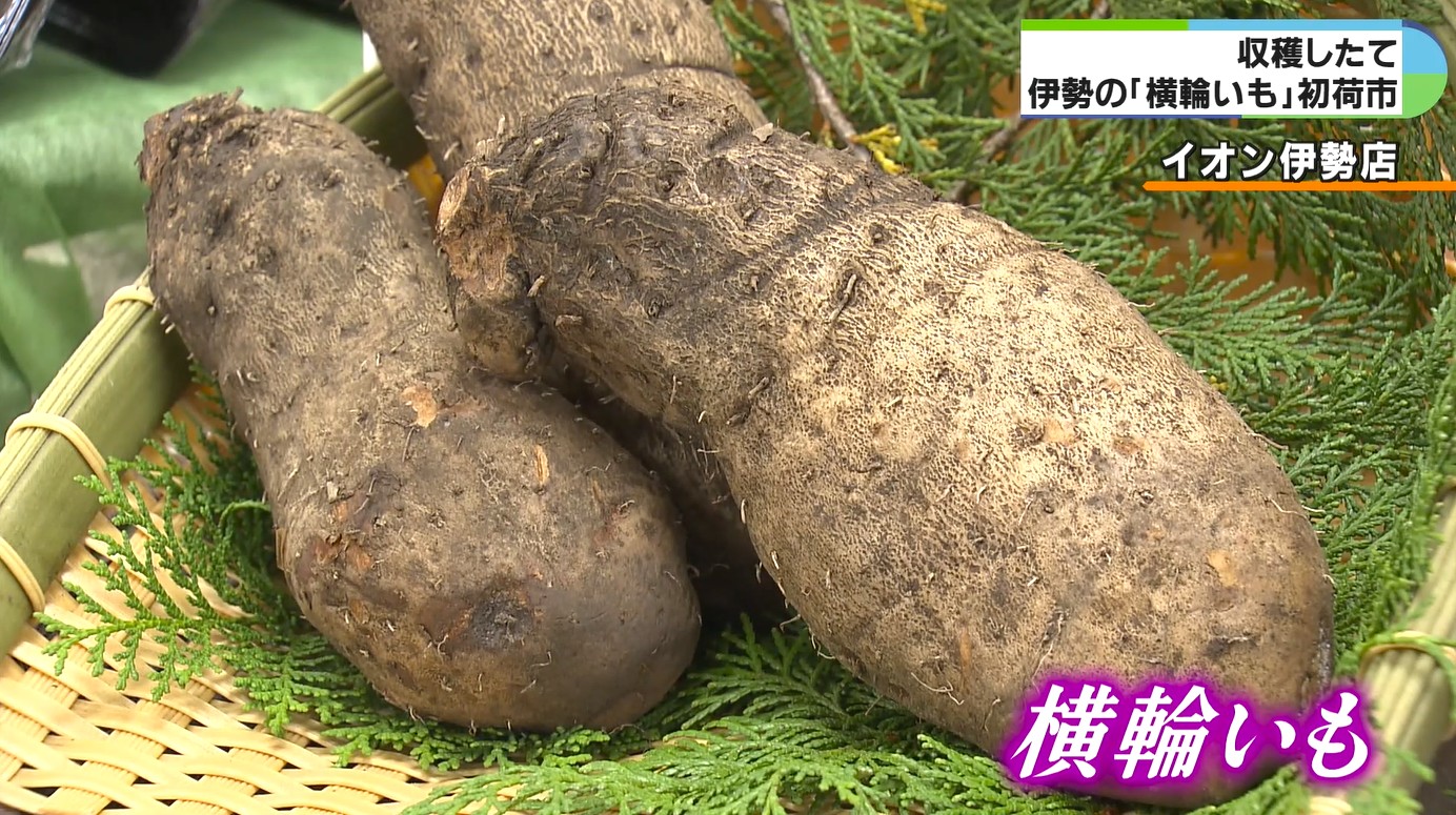 つきたて餅のような強い粘り気と濃厚な風味　店頭に旬の横輪いも