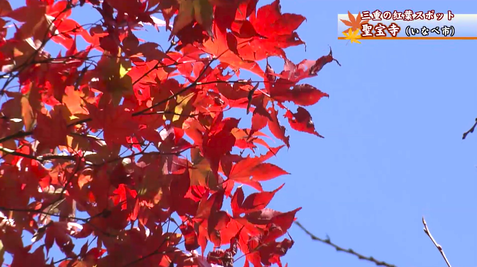 鏡池の紅葉や真っ赤に染まった血のもみじ　秋景色広がる聖宝寺