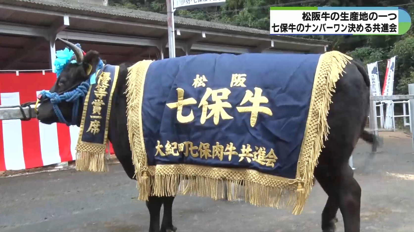 最高賞は500万円で落札　松阪牛の生産地の三重県大紀町で共進会