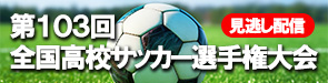 103回高校野球　見逃し配信