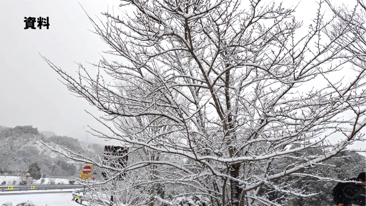 19日にかけて警報級の大雪の可能性も　津地方気象台が交通障害に注意・警戒を呼びかけ