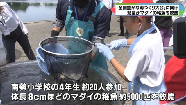 来年秋に三重県で開催される「全国豊かな海づくり大会」に向け、開催地となる南伊勢町の子どもたちが6日、マダイの稚魚を放流しました。